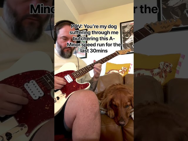 Weekend guitar practice and annoying my dog