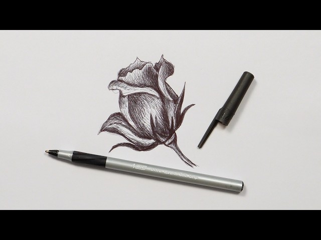 How To Draw A Rose | Step-by-Step Ballpoint Pen Drawing Tutorial!