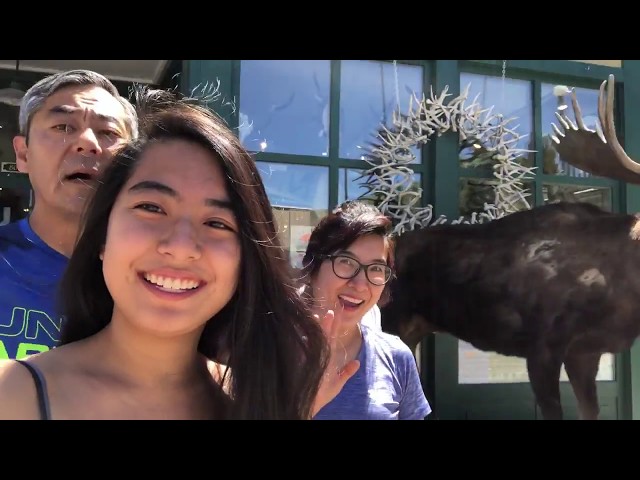 Living it up at Yellowstone with the Family!