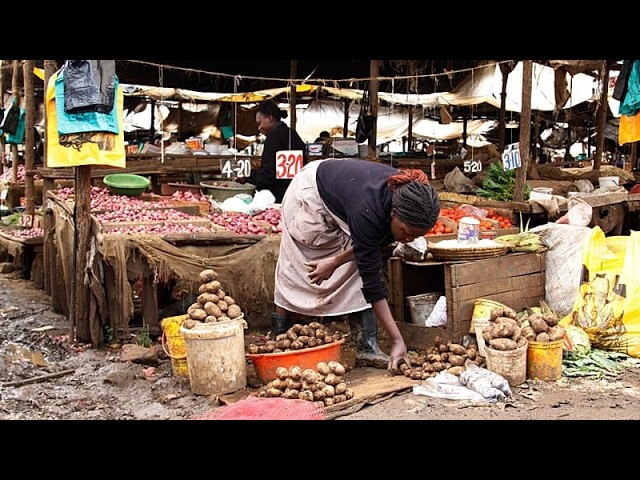 Food prices rising in Kenya as climate change strains supply