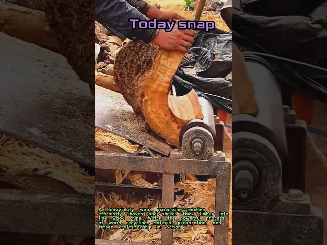 Efficient Wood Processing Machine Shredding Timber Into Fine Chips