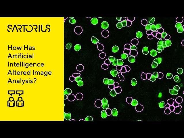Bioimaging and Analysis: Live-Cell Analysis Panel Discussion