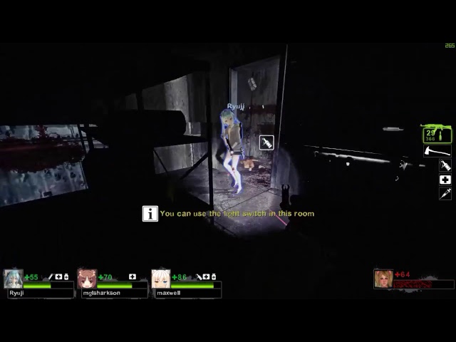 L4D2 custom