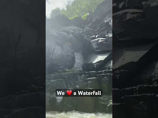 Beautiful Waterfall in Mauritius ❤️ #mauritius #waterfall