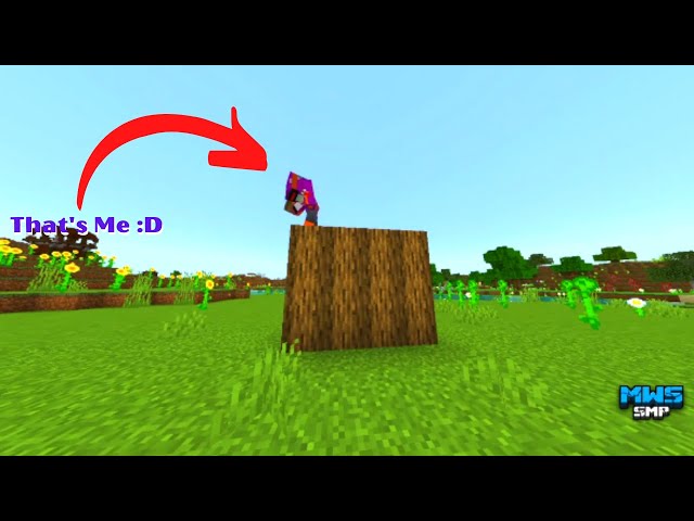 That's Me :D (MWS SMP Trailer)