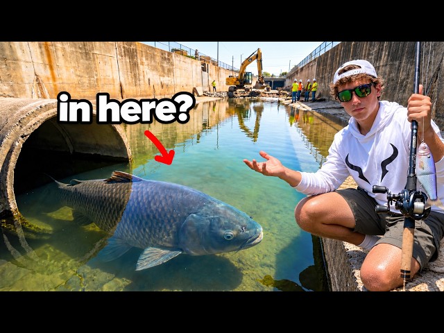 I Tested If Man Made Spots Actually Hold Monster Fish