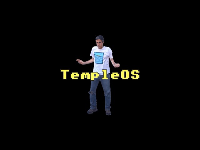 The god's programmer