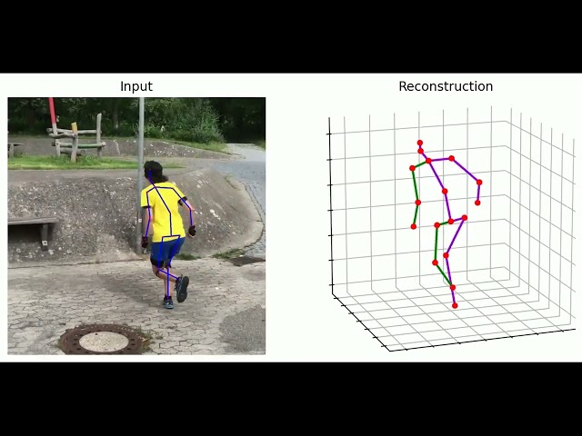 DTF: Enhancing 3D Human Pose Estimation Amidst Severe Occlusion with Dual Transformer Fusion