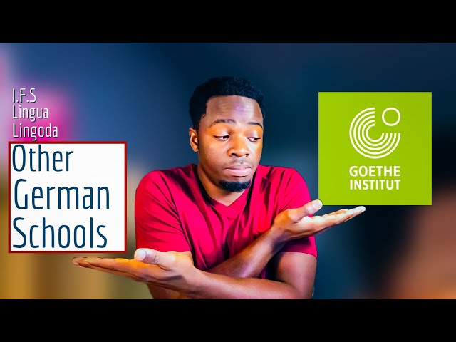 GOETHE-Institut vs OTHER GERMAN SCHOOLS /Which one is right for you? (Everthing you need to know)