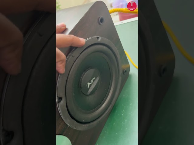 Center Speaker without Crossover Board #shorts