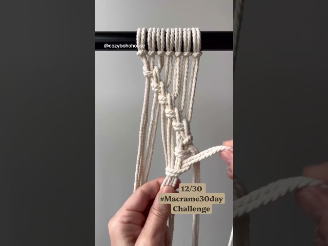 Easy Macrame Pattern You’ll Want to Try 🧶 | Day 12/30 #macrame #diy #macrametutorial