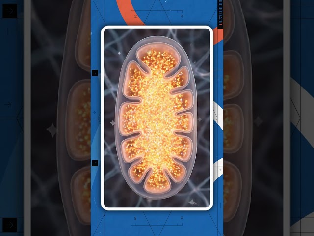 The Hidden Heater Inside Babies | #shorts #viralshorts