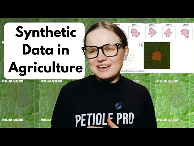 Synthetic Data in Agriculture