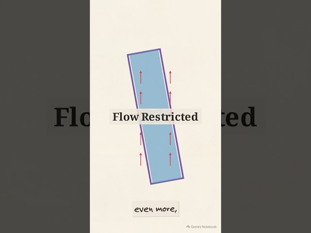 How Meanders Regulate Fluid Flow #microfluidics #algomicrofluidics  #rhino3d #algojewels
