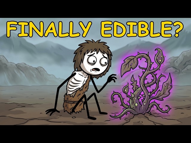 Why Did Ancient Humans Eat a Plant That Took a Week to Become Edible?
