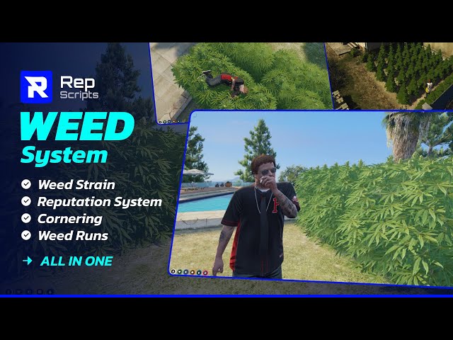 STRAIN REPUTATION WEED SYSTEM | REP SCRIPTS FIVEM | https://rep.tebex.io/