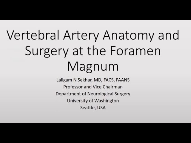 Vertebral Artery Anatomy and Surgery at the Foramen Magnum