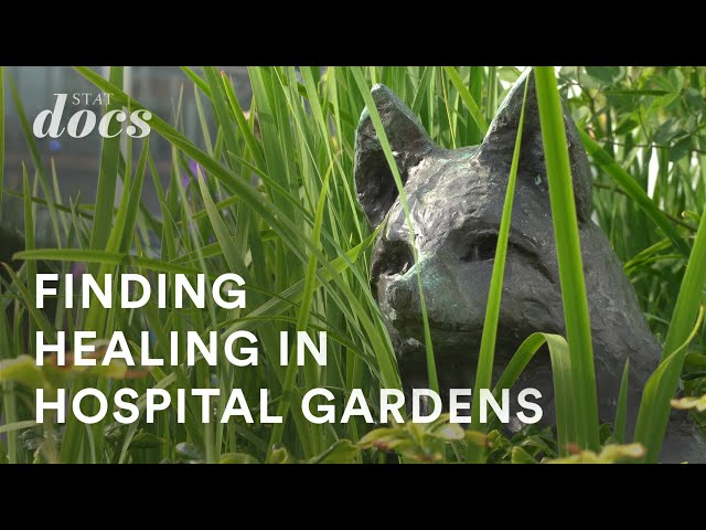 Finding healing in hospital gardens
