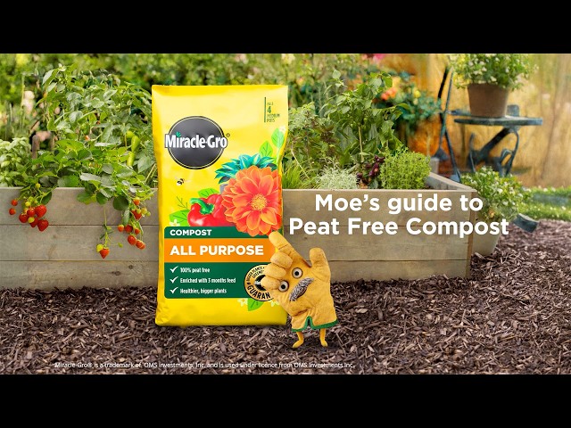 Miracle-Gro® All Purpose Compost | Peat-Free, Premium Mix for Stronger, Healthier Plants