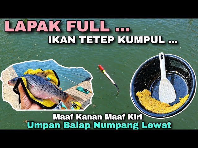 Ready-to-Use Carp Bait Mix, No Hassle, Guaranteed Catch‼️