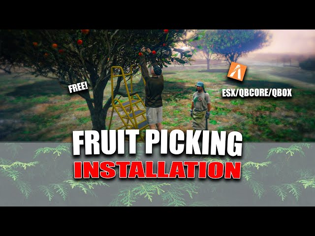Fruit picking for esx / qbcore / qbox - stevo scripts full guide installation - fivem - grindings