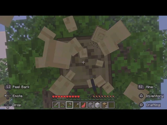 Minecraft video