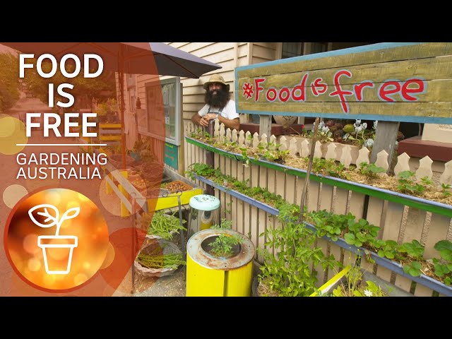Food is free | Growing fruit and vegies | Gardening Australia
