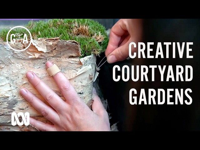 Pia's Lego Garden: Creating an Urban Oasis in a Rental Home | Gardening Australia