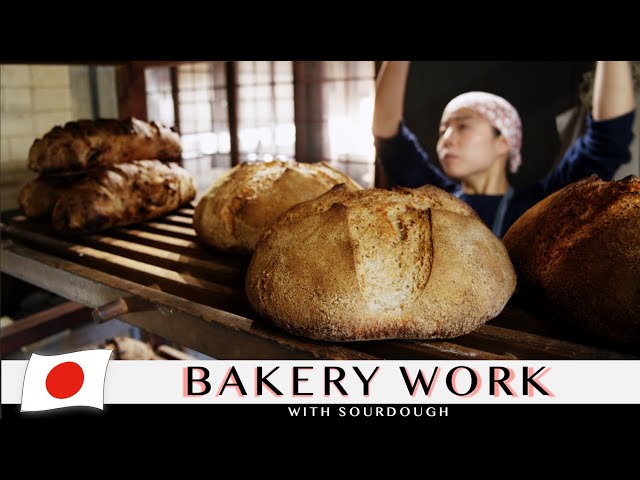 Alone in the Mountains, She Bakes Ancient-Style Bread by Wood Fired Oven | Bread Japanese