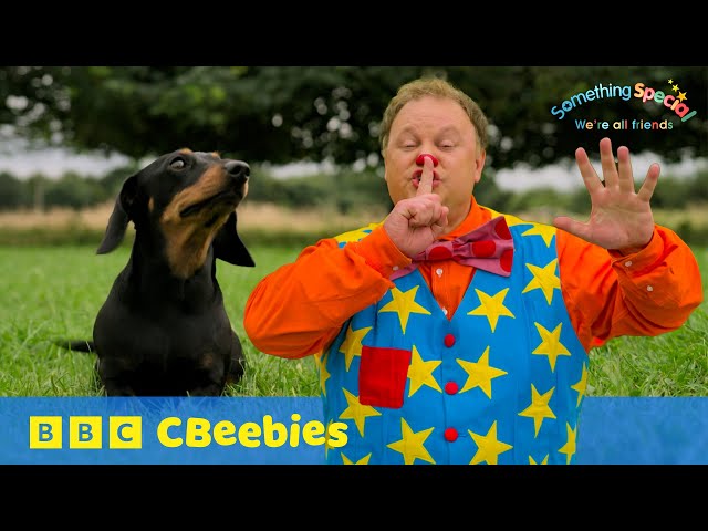 Mr Tumble’s Calm Exercises 🌳 | Relaxing Fun for Toddlers with CBeebies