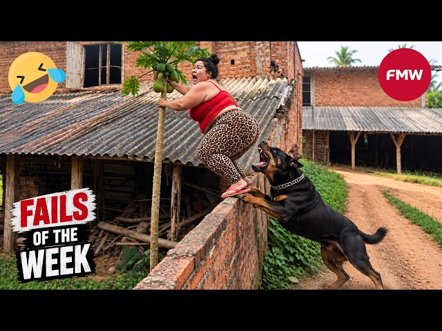 Try Not To Laugh Challenge 😂 99% Will Fail | Funny Videos Compilation 2026 #254