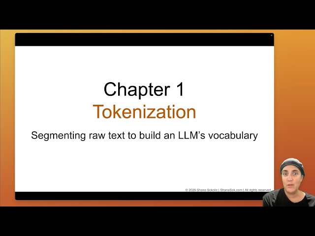 How LLMs Actually Work - Chapter1 - Tokenization