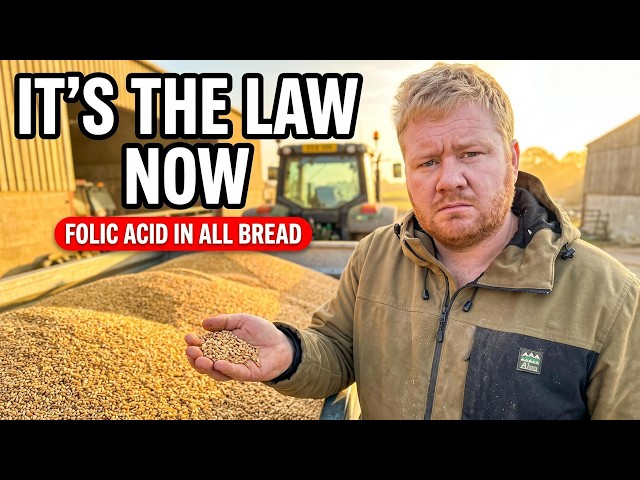 It Will Soon Be Illegal To Sell Bread Without This In It