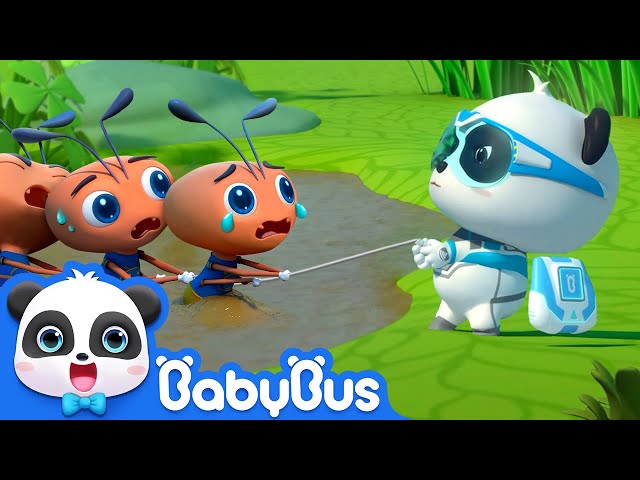 Baby Ant Gets Lost and Exhausted | Super Panda Rescue Team 2 | Kids Cartoon | BabyBus