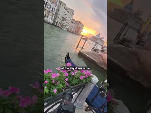 Your Sony Can Now Do Focus Stacking Automatically 🤯 #shorts