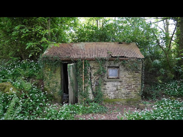 Can we save this abandoned tiny house?