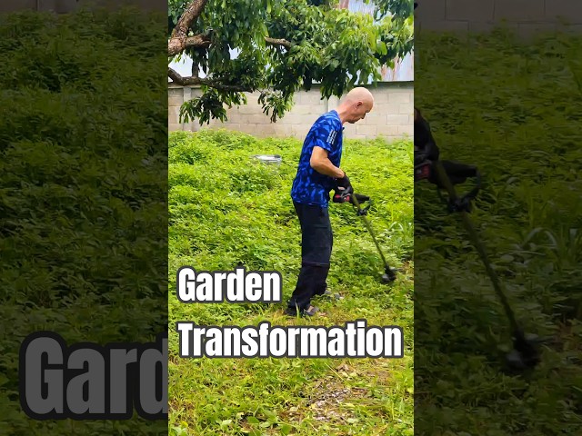 Garden Transformation in Thailand 🇹🇭
