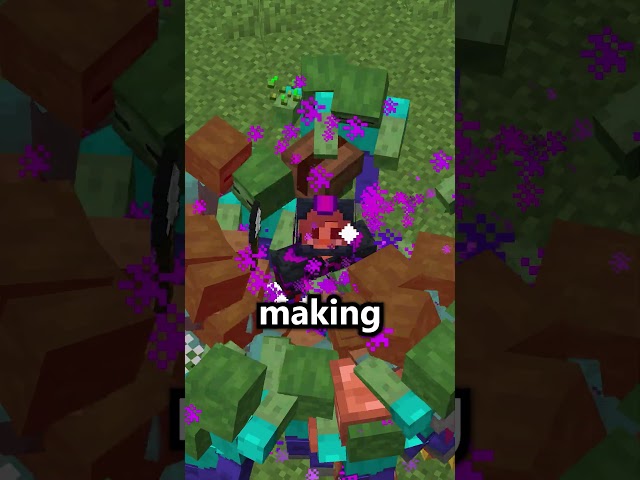 Netherite is USELESS on this Minecraft SMP...