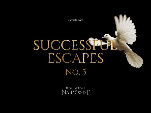 Successful Escapes : 5