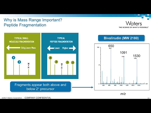 LC-MS/MS for Bioanalytical Peptide and Protein Quantification: MS Considerations