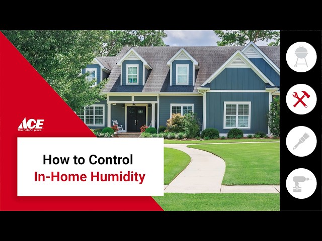 How To Control In-Home Humidity | Ace Hardware