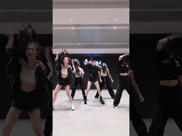 MEOVV 'MEOW' Dance Practice #MIRRORED