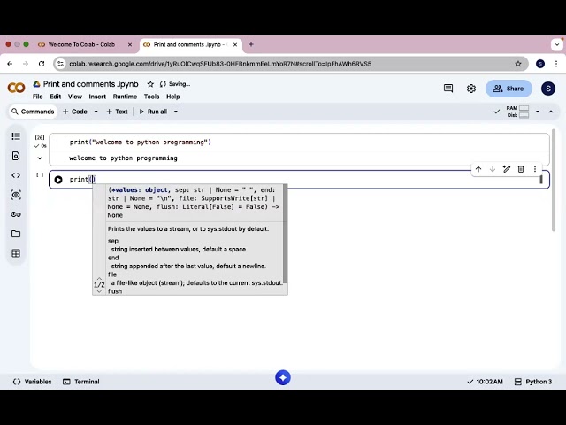 Python Tutorial for Beginners | Print Function & Comments