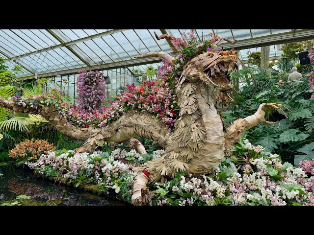 ORCHID FESTIVAL 2026 at Kew Gardens FULL TOUR 🇨🇳🐉🏮
