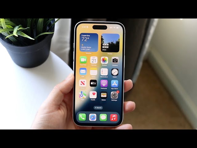 Finally Some Good iPhone 16 News