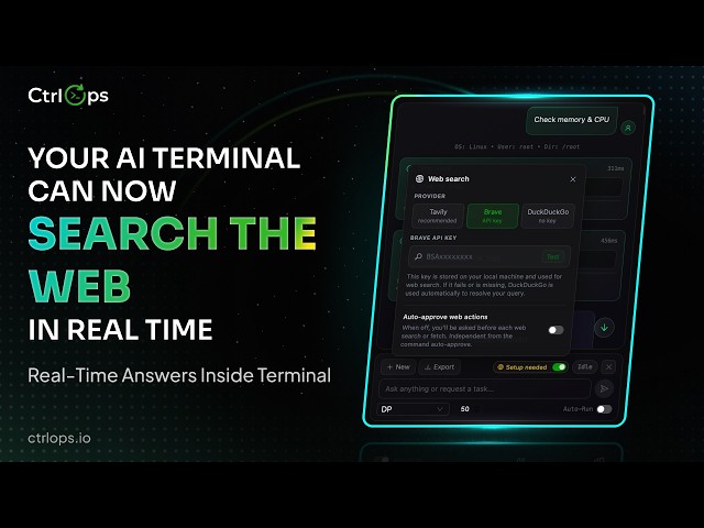 How to Enable Web Search in CtrlOps AI Terminal | Tavily, Brave & DuckDuckGo