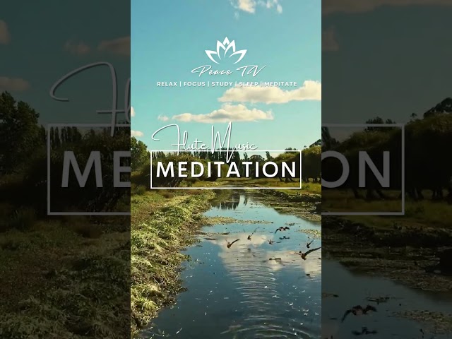 STUDY MUSIC FLUTE MUSIC #deepfocus
