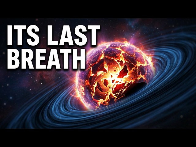 A Star's Last Moments Before the Black Hole Takes Over