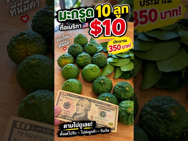 😱 ขายมะกรูด 10 ลูกที่อเมริกา $10! คนไทยเห็นราคานี้ว่าไง? 🇺🇸🇹🇭 #Shorts