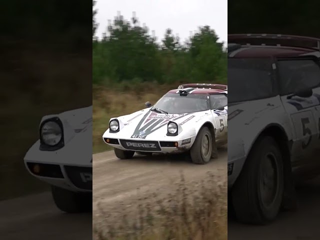 Lancia Stratos Rally! #rallying #rallyaction #lanciastratos #stratos